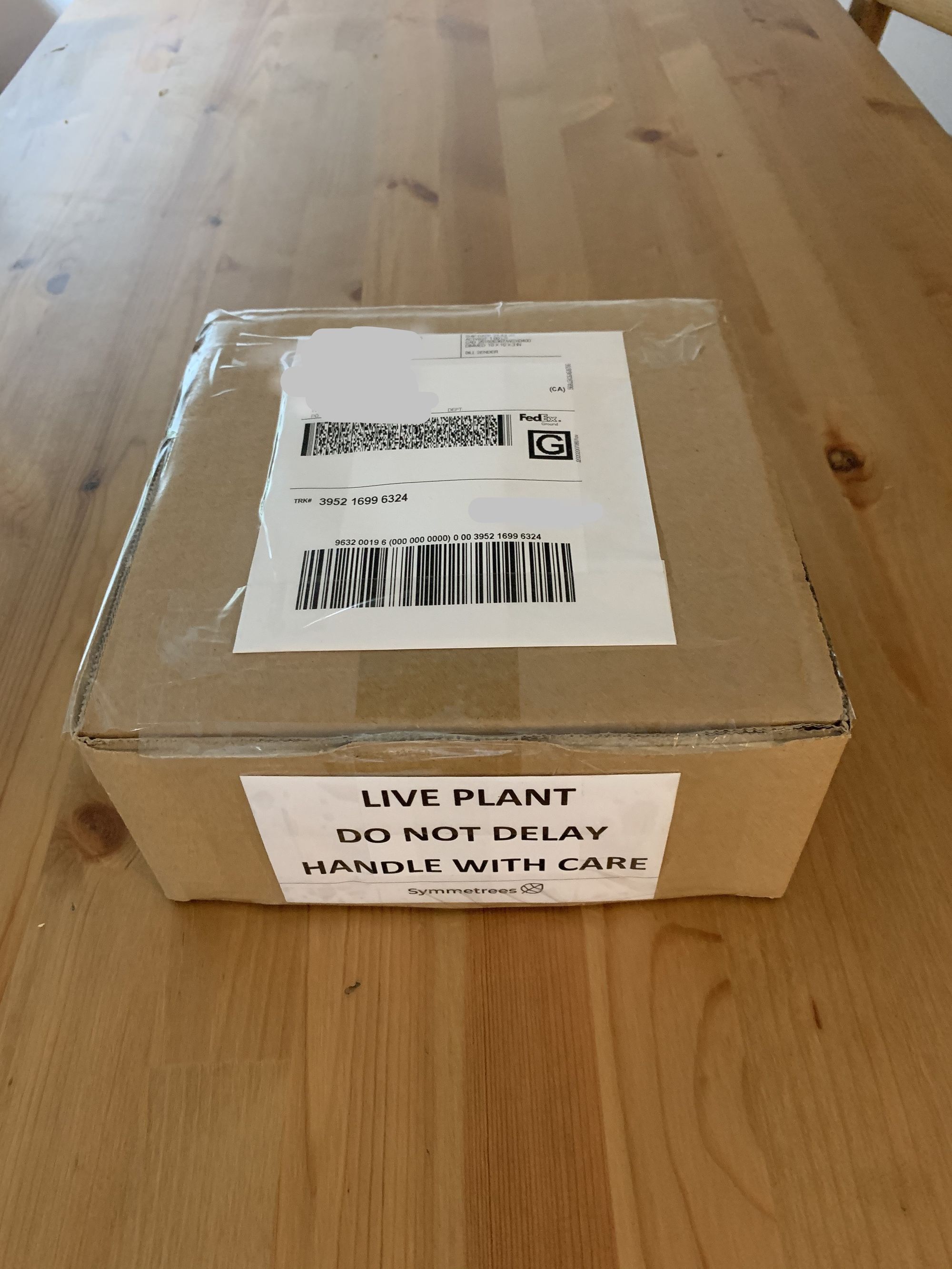 How to ship plants in winter