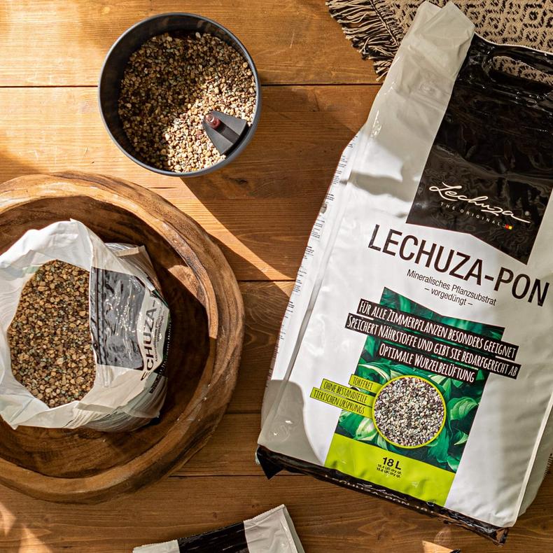 Lechuza Pon Conversion 101: Soil-Free Planting