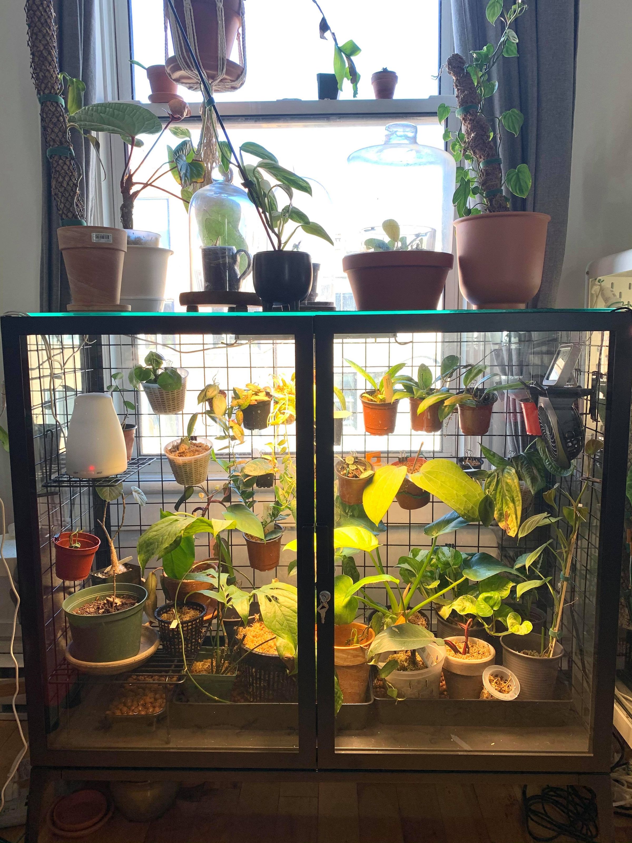 Convert Ikea Milsbo (wide) Cabinet Into Greenhouse